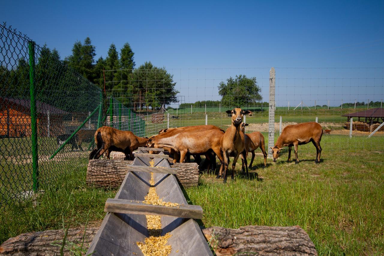 Zagroda Nad Kotelnia Pawlowa Exterior foto