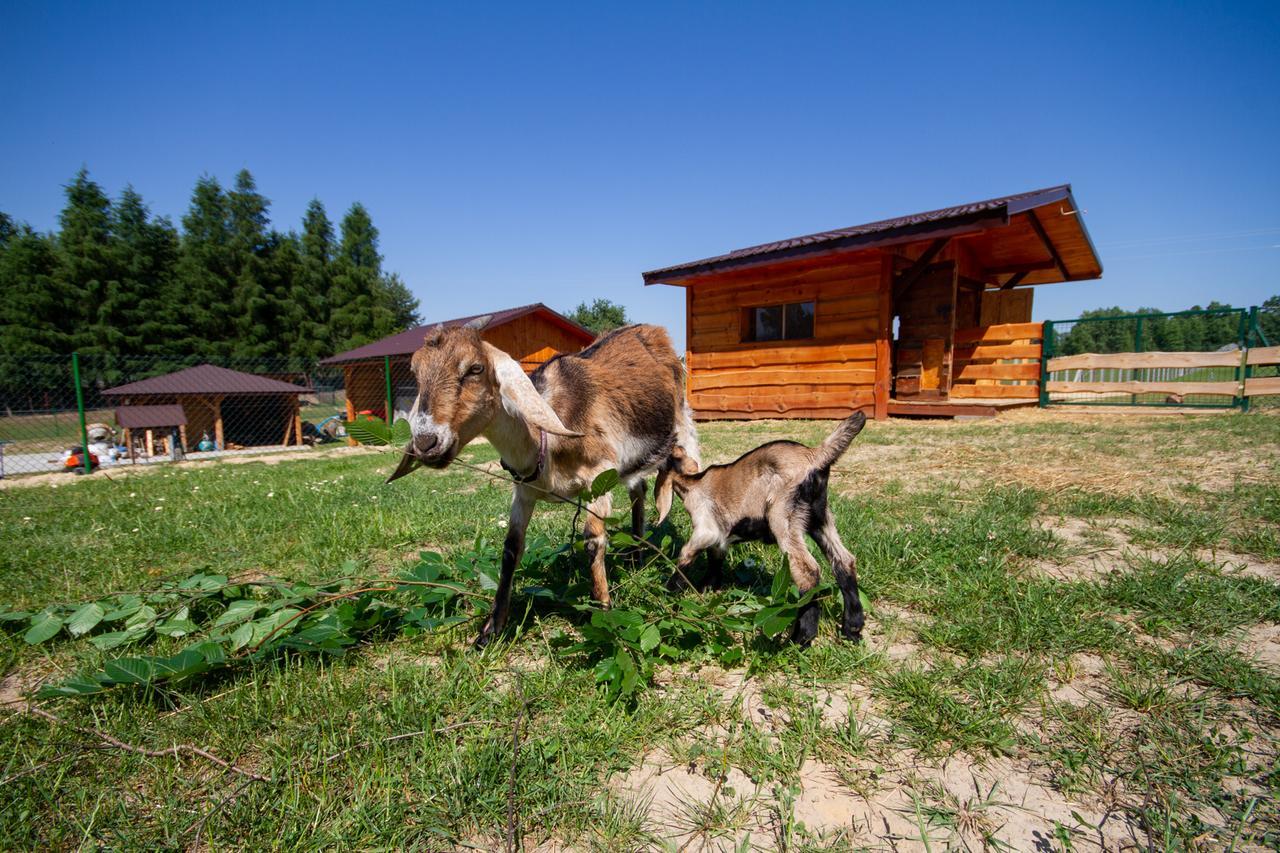 Zagroda Nad Kotelnia Pawlowa Exterior foto