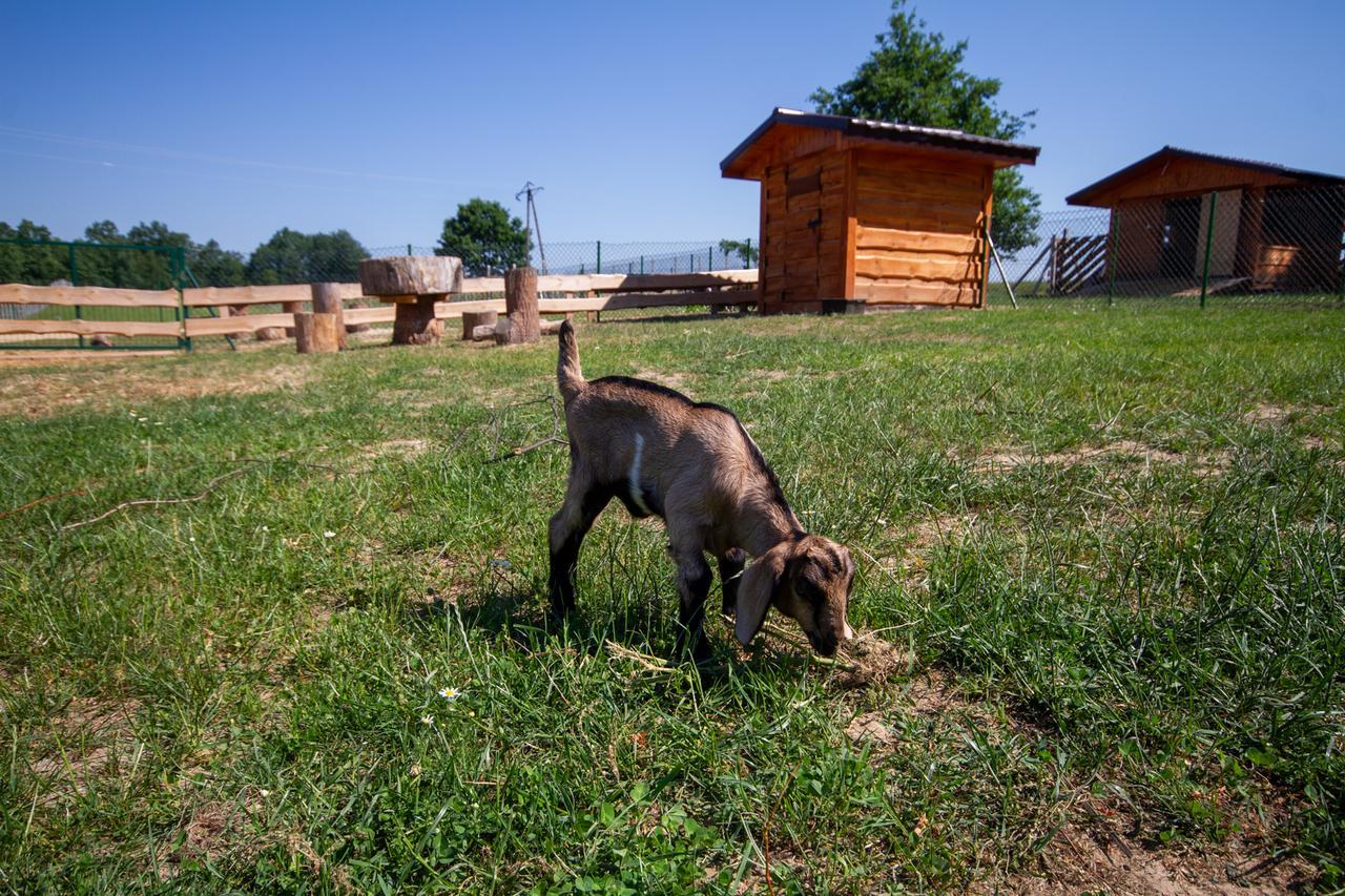 Zagroda Nad Kotelnia Pawlowa Exterior foto