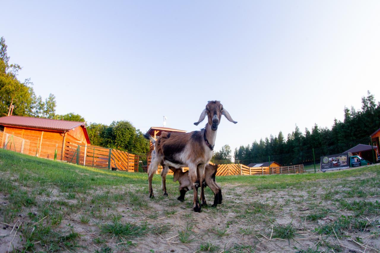 Zagroda Nad Kotelnia Pawlowa Exterior foto