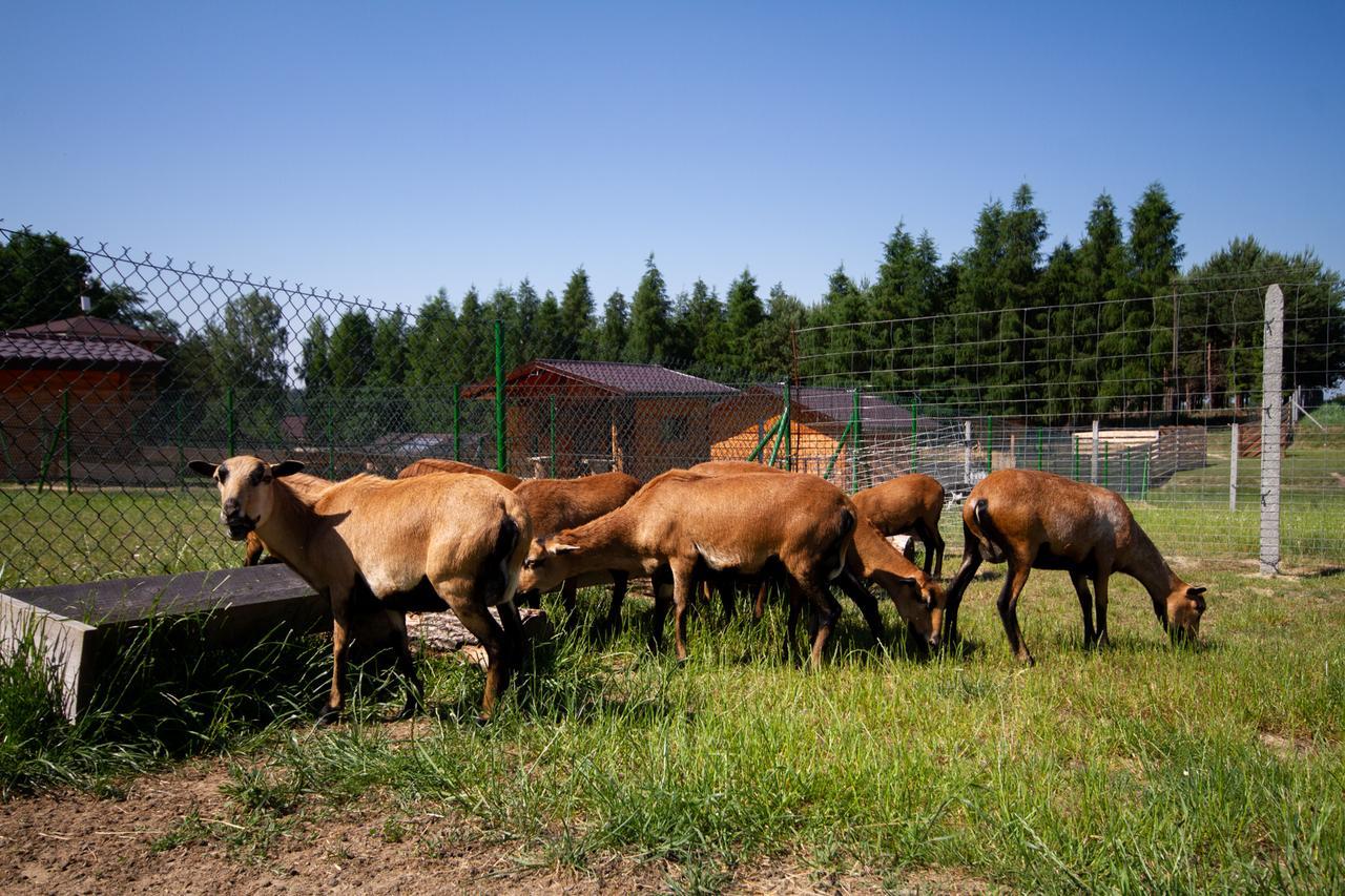 Zagroda Nad Kotelnia Pawlowa Exterior foto