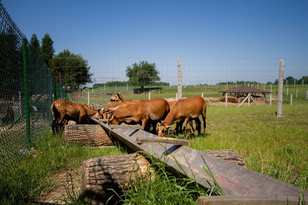 Zagroda Nad Kotelnia Pawlowa Exterior foto